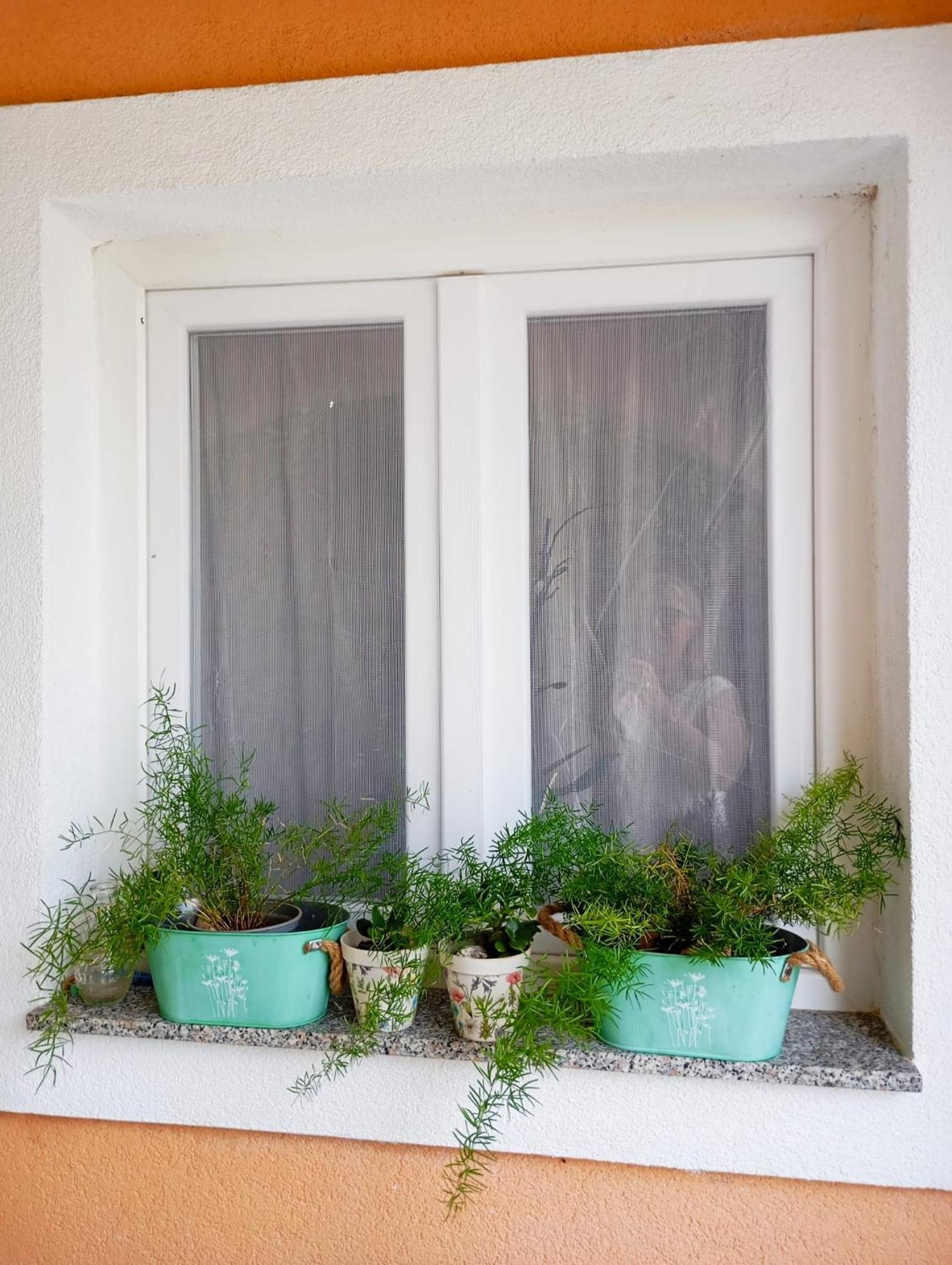 Apartmani Joja Biograd Na Moru Buitenkant foto